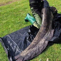 Wychwood Agitator Catfish Mat